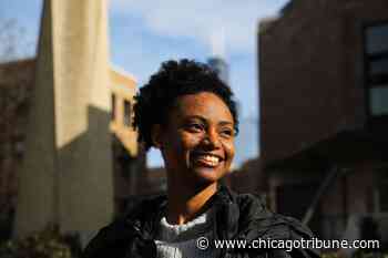 UIC fellowship, First 500 website seeks to diversify architecture field - Chicago Tribune