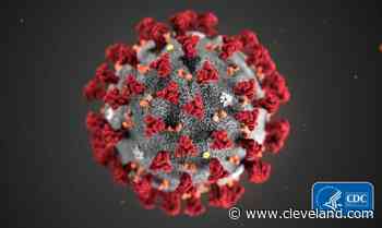 Ohio reports 20,093 more COVID-19 cases: daily coronavirus update for Wednesday, Jan. 12 - cleveland.com