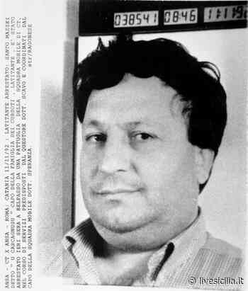 Catania, la mappa criminale: l’eredità mafiosa di Santo Mazzei - Livesicilia.it