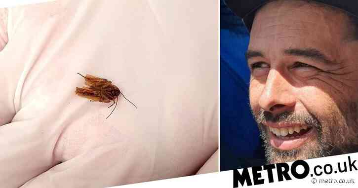 Man horrified after blocked ear was actually a cockroach lodged inside