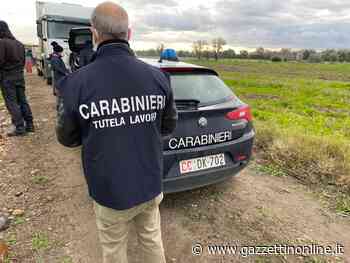 Catania, controlli a tappeto dell’Ispettorato del lavoro dei Cc - Gazzettinonline