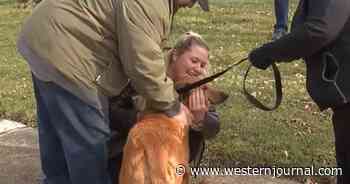 Family Dog Goes Missing for Years, Then Has Unbelievable Reunion