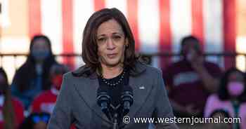 Kamala Harris Gets Humiliating Math Lesson After Senate 'Minority' Claim