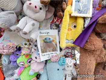 Rally planned in support of calls for justice for Saskatoon girl fatally struck at crosswalk