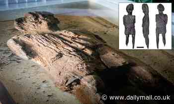 Archaeology: Rare Roman wooden figure is found in a Buckinghamshire ditch by HS2 archaeologists