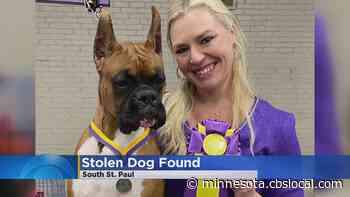 Jasper The Dog Found 'Very Cold And Hungry' After Being Stolen In Van - WCCO | CBS Minnesota