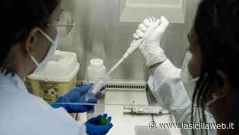 Covid: Catania e Palermo oltre quota 3.000 - lasiciliaweb | Notizie di Sicilia
