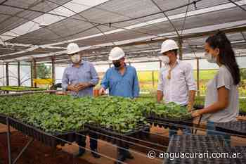 Continúan los trabajos de aprestamiento en el Ingenio Azucarero de San Javier para la Zafra 2022 - Agencia de Noticias Guacurari