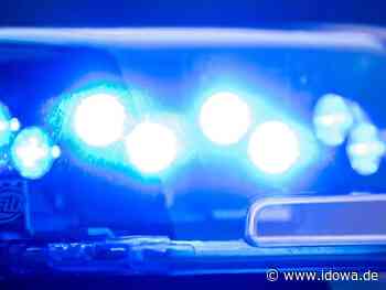 PI Passau - Betrunkene greifen Polizisten an - idowa
