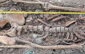 Würdinger "Sissi der Antike" sorgt international für Schlagzeilen - Passauer Neue Presse