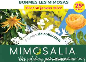 BORMES LES MIMOSAS : Mimosalia, un évènement résolument positif ! - La lettre économique et politique de PACA - Presse Agence