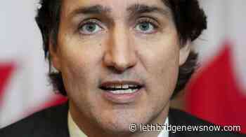 Government extends repayment deadline to emergency business account to 2023 - Lethbridge News Now