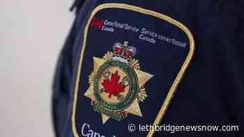 Correctional Service settles human rights case for prisoners addicted to opioids - Lethbridge News Now