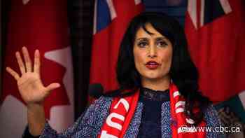 UCP board, party executive feud over controls of Leela Aheer's riding association