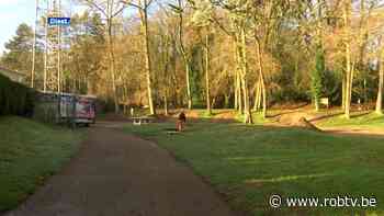 Diest plaatst nieuwe speeltuin met speeltuigen voor kinderen met een beperking - ROB-tv