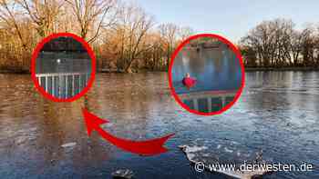 Essen: Feuerwehr im Einsatz wegen DIESEM Tier - Derwesten.de