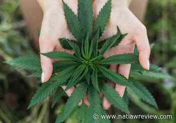 Tennessee Medical Cannabis Prospects - The National Law Review