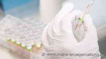 Labore stoßen bei PCR-Tests an Kapazitätsgrenzen