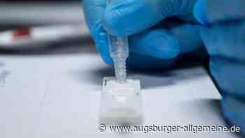Corona-Inzidenz in Aichach-Friedberg steigt auf 440,7 - Augsburger Allgemeine