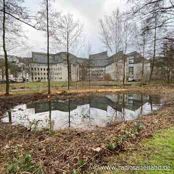 Bauarbeiten im Hennepark in Meschede - Radio Sauerland