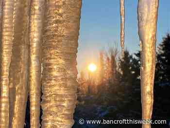 Questions for the elected | Bancroft this Week - Bancroft This Week