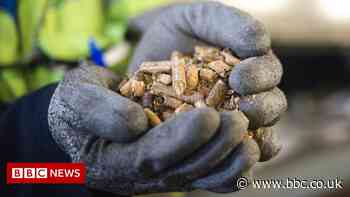The controversy of wood pellets as a green energy source