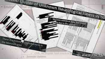 No longer a sure thing: Records show how N.B. investigation into mystery illness changed over time