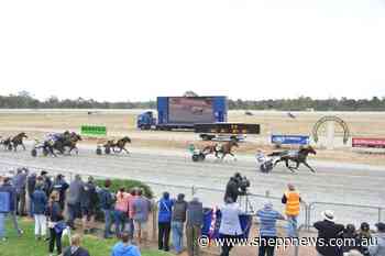 Sutton reigns supreme in Cobram Pacing Cup - Shepparton News