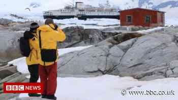 Antarctica: Invasive species 'hitchhiking' on ships