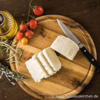 Wie gesund ist Bratkäse als Fleischalternative? - radioeuskirchen.de