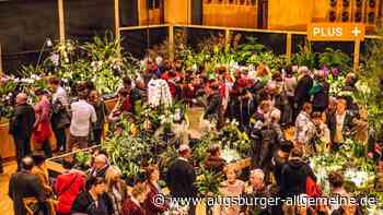 Jetzt doch: Orchideentage in Neu-Ulm wegen Corona abgesagt