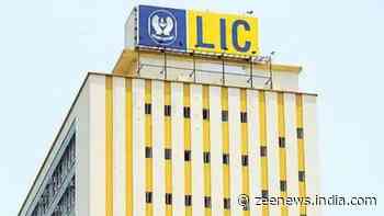 LIC invests, mutual funds increase stake in THIS healthcare firm; have you invested?