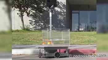 Fish Out of Water: Scientists Teach Goldfish How to Drive Robotic Car to Study Navigational Abilities