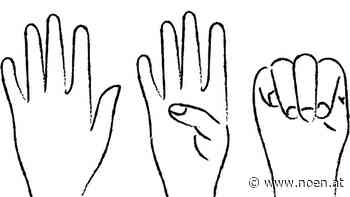 Gewaltpräventions-Leitfaden: Marketing-Konzept von St. Pöltner FH - NÖN.at