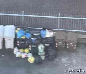 L'indifferenziata “dimenticata” da Asm in via Failla - tgvercelli.it