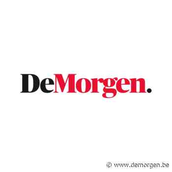 Live - Coronavirus. Ook hier is omikron minder ziekmakend, vertelt Marc Van Ranst: 'Dit komt meer in de buurt van wat een griep kan geven' - De Morgen