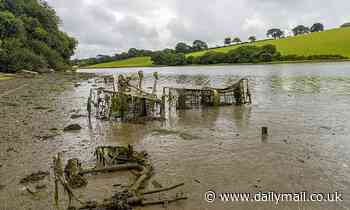 Environment: No English river is free from pollution, report warns