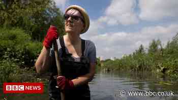 Chemical cocktail’ polluting English rivers - MPs warn