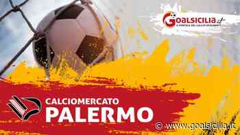 Calciomercato Palermo: sondaggio per il giovane Borello del Crotone - GoalSicilia.it