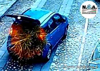 Abbandono ingombranti: altre due persone sanzionate a Crotone - Il Crotonese