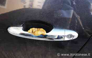 Crotone, escrementi lasciati sull'auto della consigliera Mungari - Il Crotonese
