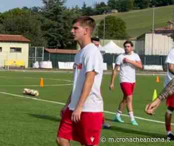 Ancona Matelica, infortunio a Berardi: si dovrà operare al crociato anteriore - Cronache Ancona