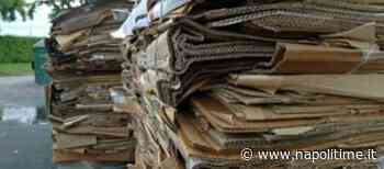 Bacoli, a dicembre raccolta differenziata all'87% - NapoliTime | Eventi, Cultura, Personaggi, Politica