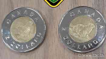Fake toonies discovered in Hawkesbury, Ont.