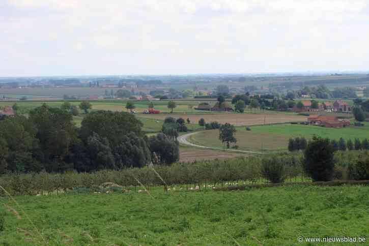 Provincie maakt nog kans op slechts één nieuw landschapspark, milieufederatie zwaar ontgoocheld: “We zijn gedoemd door een lappendeken aan ambities”
