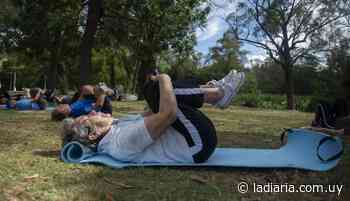 La Intendencia de Montevideo brinda diversas propuestas de actividad física para el adulto mayor durante el verano - la diaria