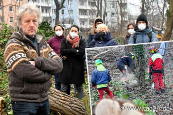 Dresden: Wer hat den Wald an der Stauffenbergallee abgeholzt? - TAG24