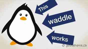 Slippery streets, sidewalks in Edmonton amid freezing rain warning