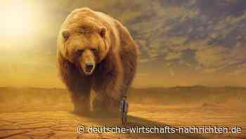 Indexfonds verschleiern, dass der Bärenmarkt längst begonnen hat