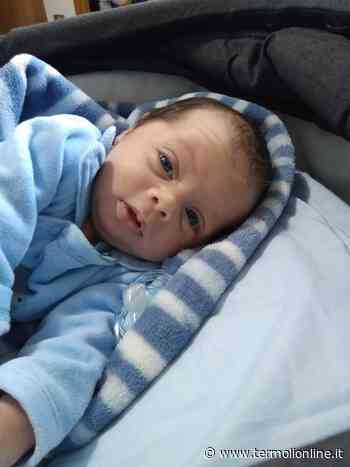 Primo mese di vita, auguri affettuosi a Cristian - Termoli Online